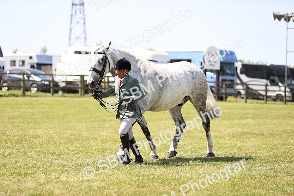 SBM_16179 - Class 79-80 - LIHS BSHA Rising Star Ridden Hunter