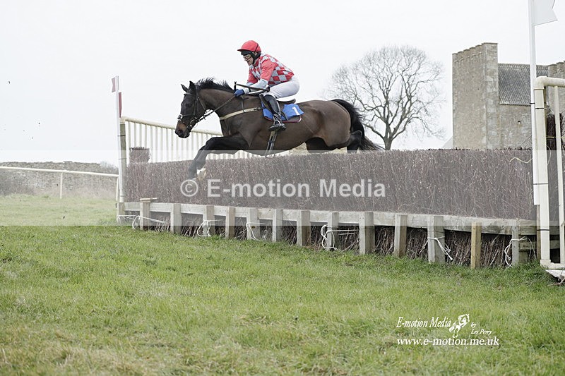 PtP 040323 574 - Duke of Beauforts Hunt Point-to-Point Didmarton 04/03/23