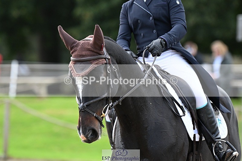 231019-143636-04233 - 054-PORSCHE-Coco.Lanni-DR