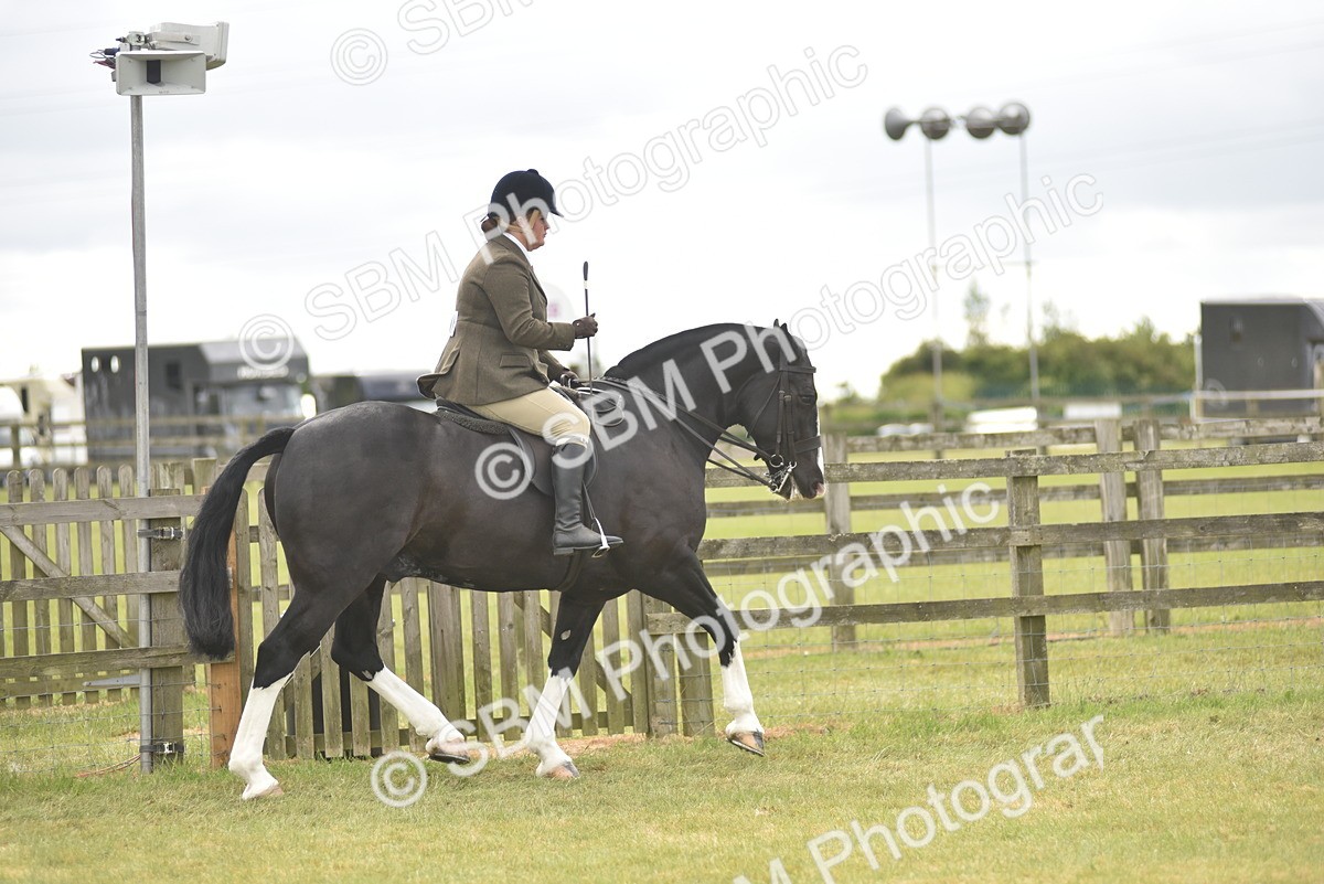 SBM_17748 - Class 122-123 - LIHS BHSA Raising Star Style and Performance Series