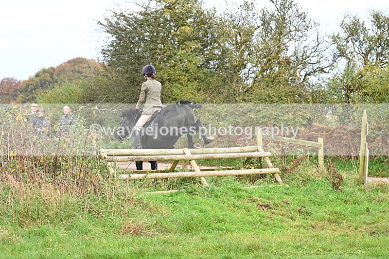 WJ7_0385 - Camera 1 & Last fence