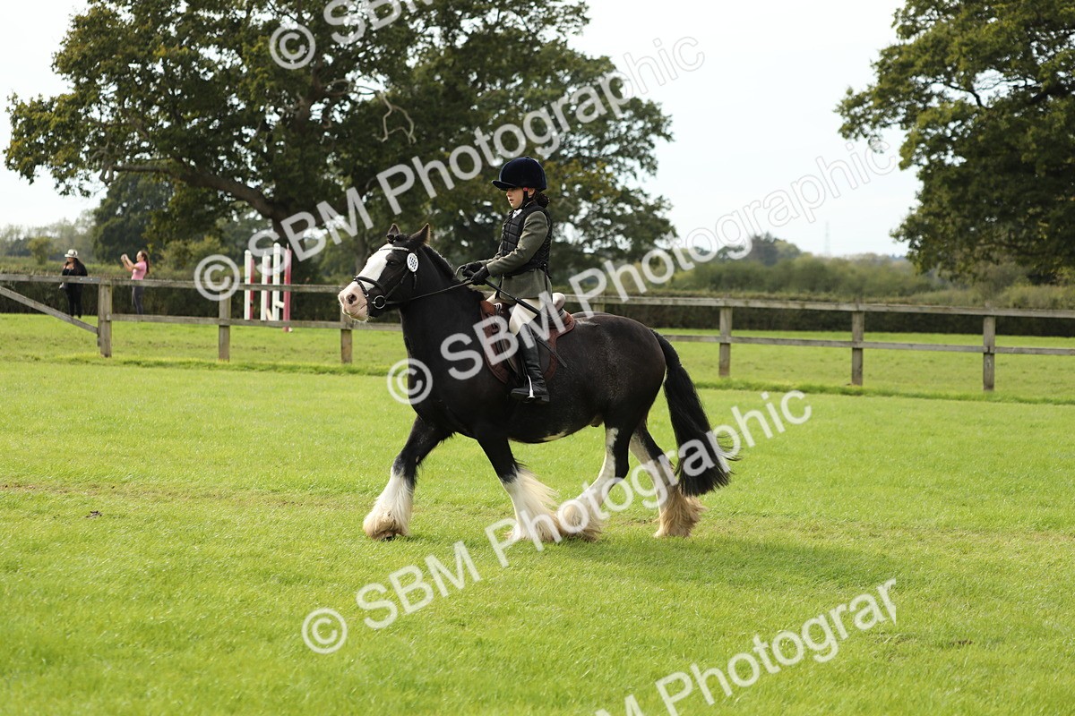 SBM_71515 - S41 - Ridden Equitation (Best Rider)
