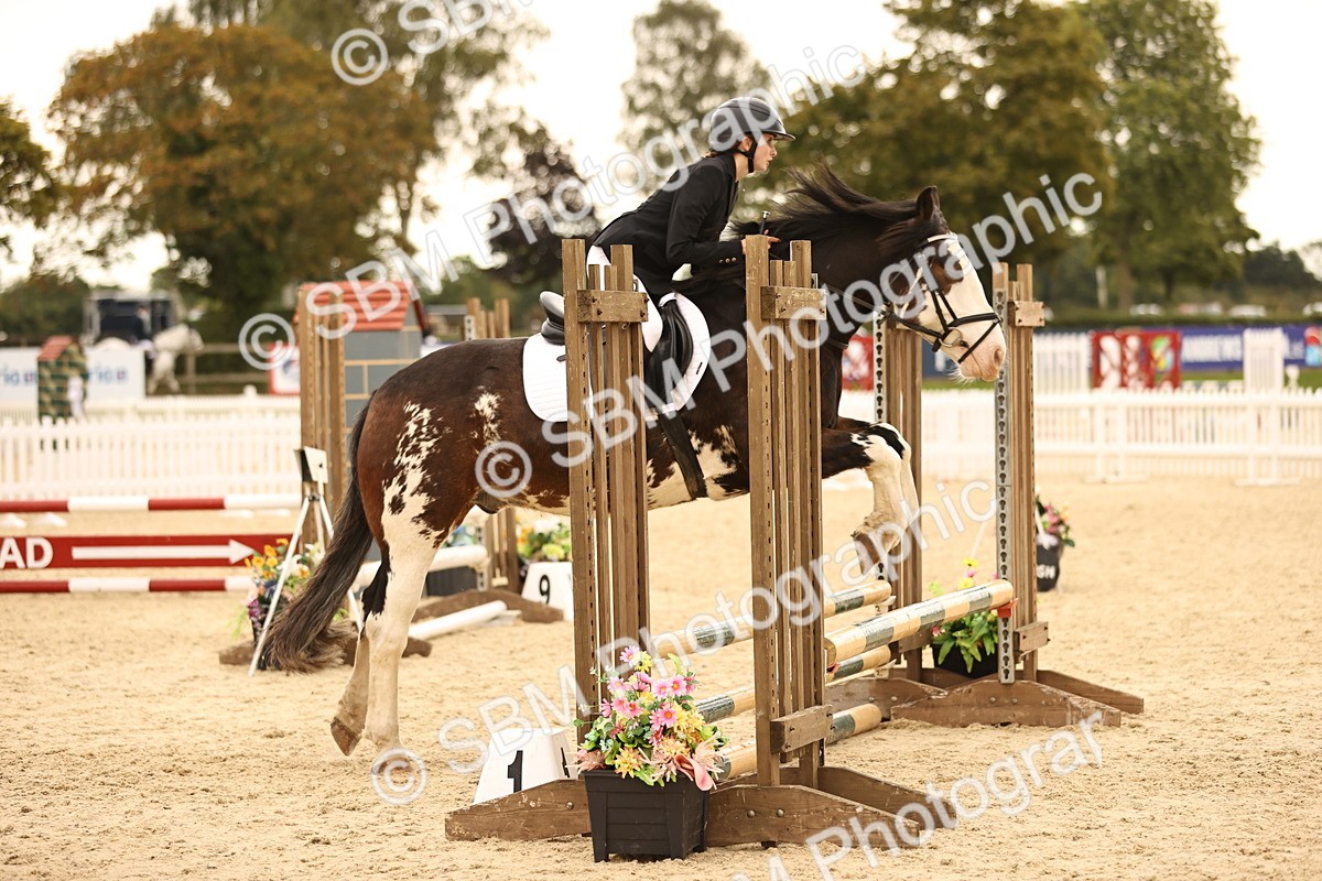 SBM_74171 - J14 - Junior Pony 65cm Championship