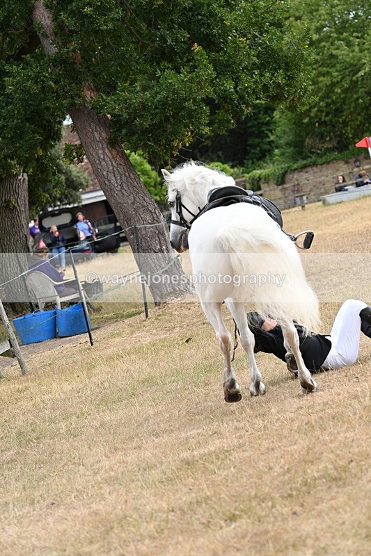 WJ7_0404 - Class 6 Ridden Mountain and Moorland