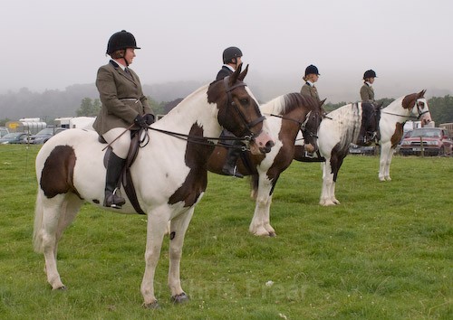35 - Moniaive Horse Show 2008