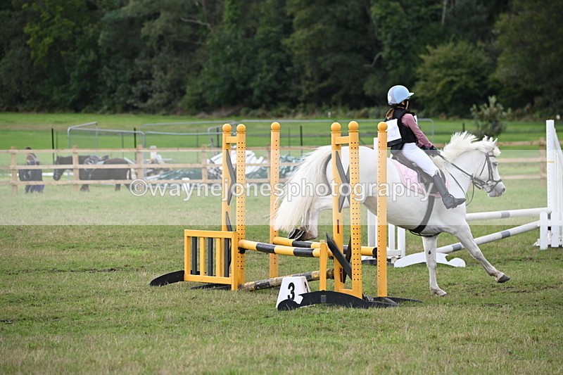 WJ6_1512 - 60cm Time 11:51 to 12:10