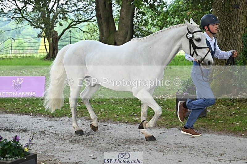 260528A-175235-05583 - A-118-Harry.Watkinson