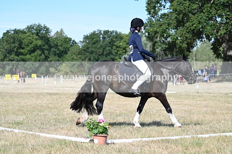 WJ7_0216 - Time 11:03 to 11:28