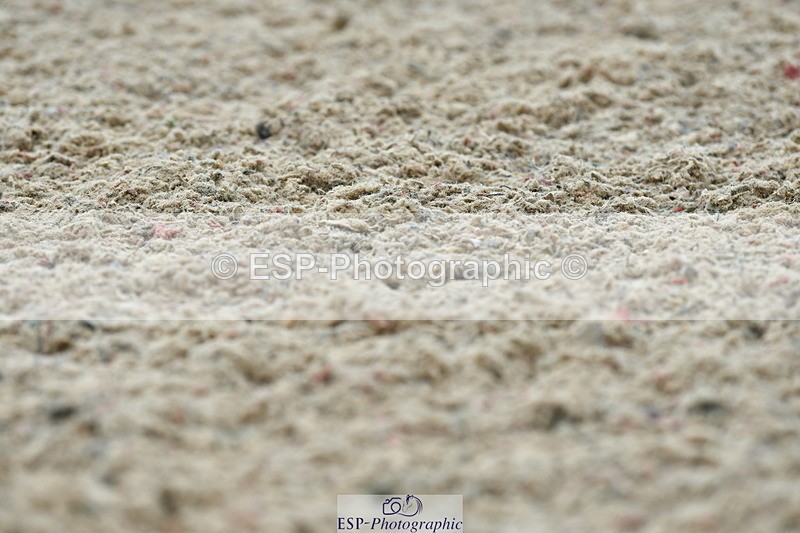 230708A-120816-02731 - Prelim 13