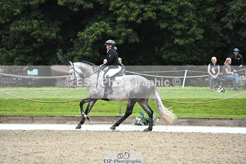 230812-101328-02927 - Cls 6 Novice Silver Start to 10.20 break