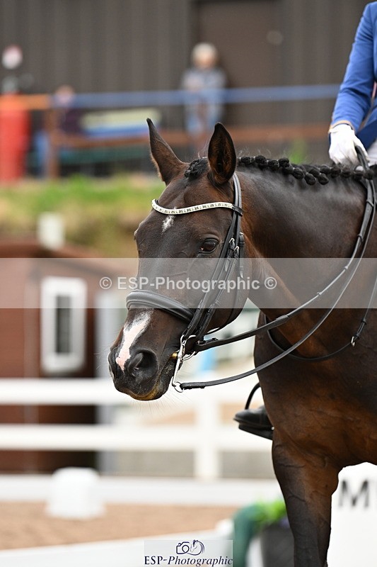 240815A-134107-01600 - 201-Natasha.Collings-Costello-Dovevale.Tender.Dove