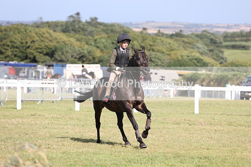 JPP_2783 - Class 20: Working Hunter 70cm