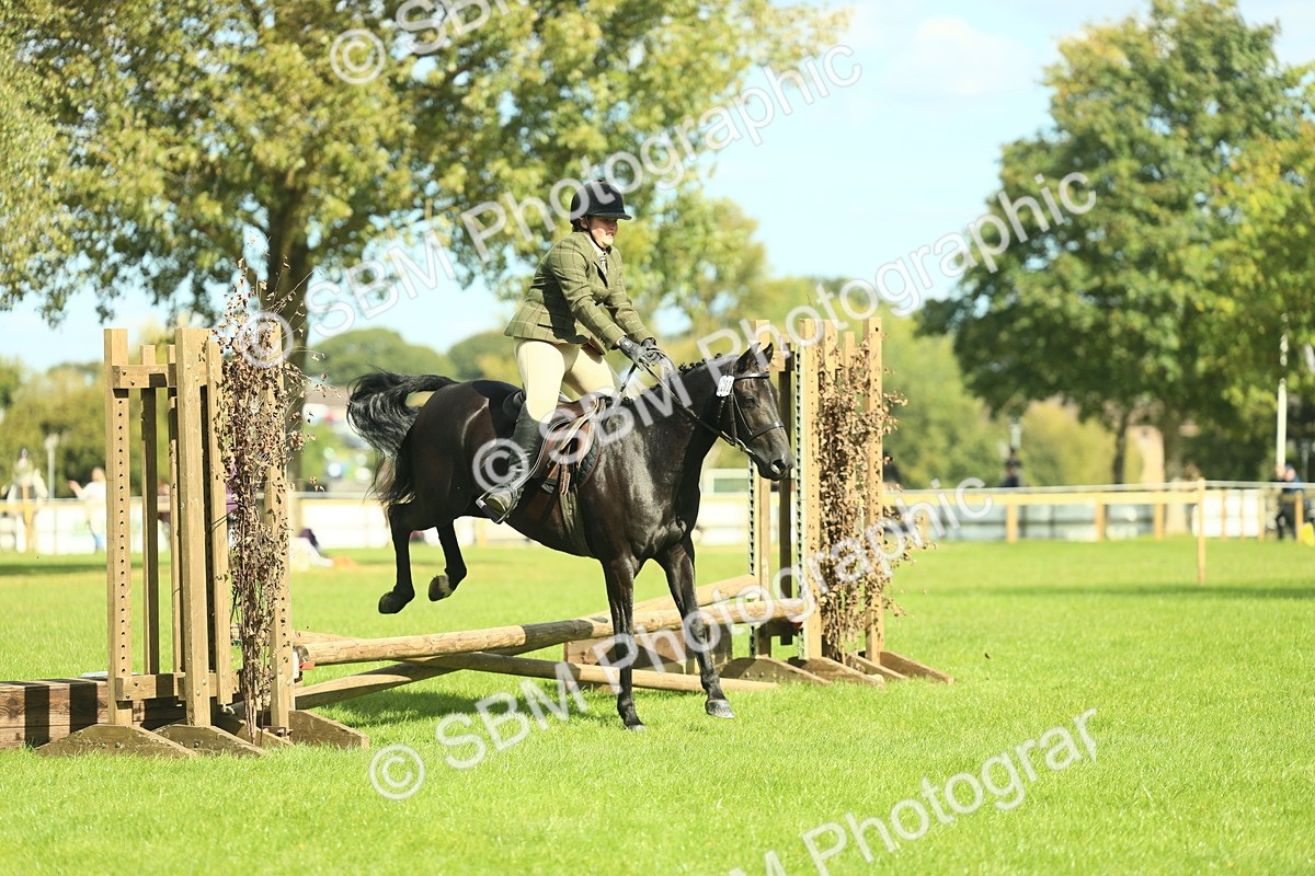 SBM_42058 - S29 - Novice & Newcomers Working Hunter Pony