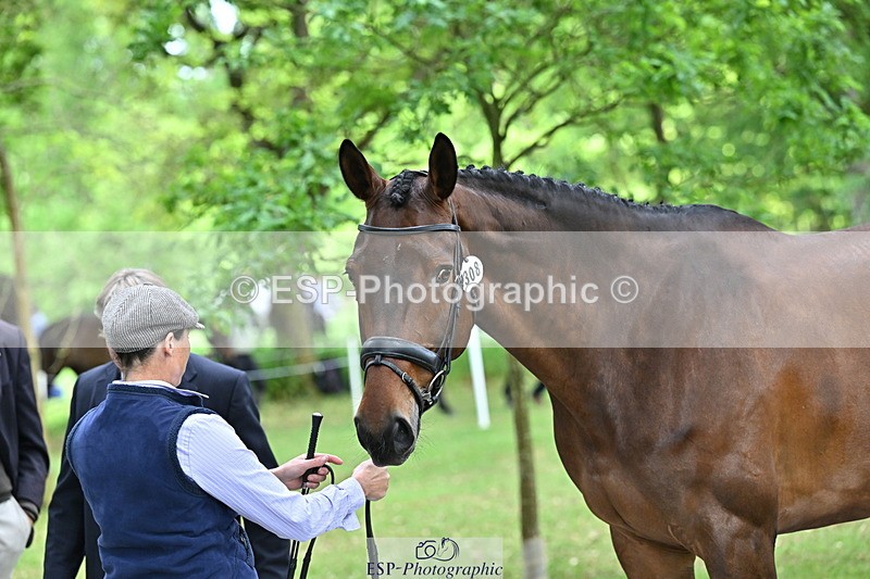 250521A-152038-00437 - B-308-Jeanette.Brakewell-COUGAR.MAIL