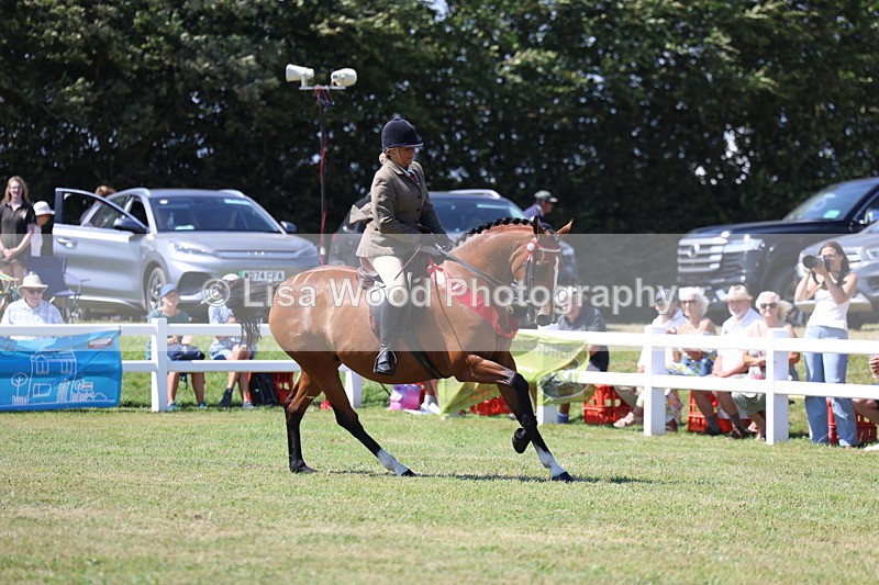 3E7A7629 - Rising Star Ridden Championship