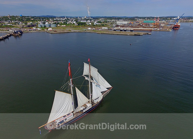 Wylde Swan Tall Ships Rendezvous 2017 Saint John New Brunswick Canada - Tall Ships