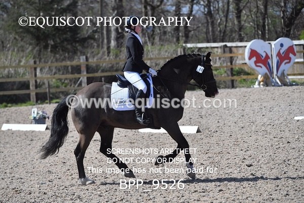 BPP_9526 - NOVICE 6