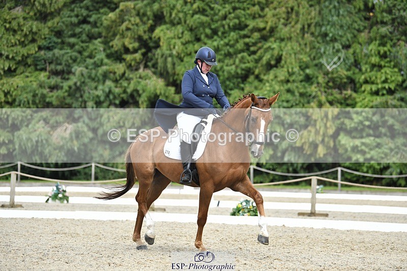 230812-154655-05208 - Cls 10 FEI Inter I Silver