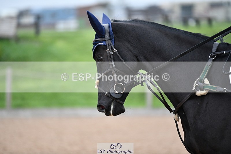 241102A-110111-04158 - SAT Cls 9 British Novice and 90cm Open