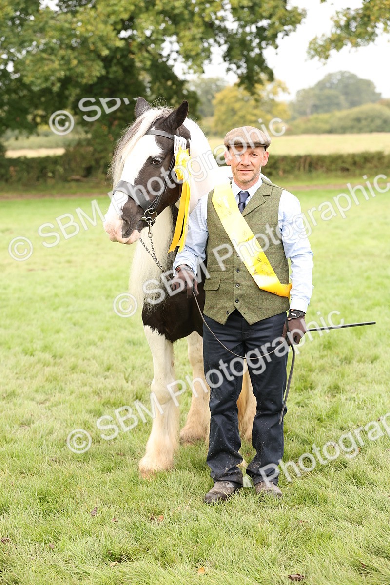 SBM_57530 - S56 - Show Cob in Hand