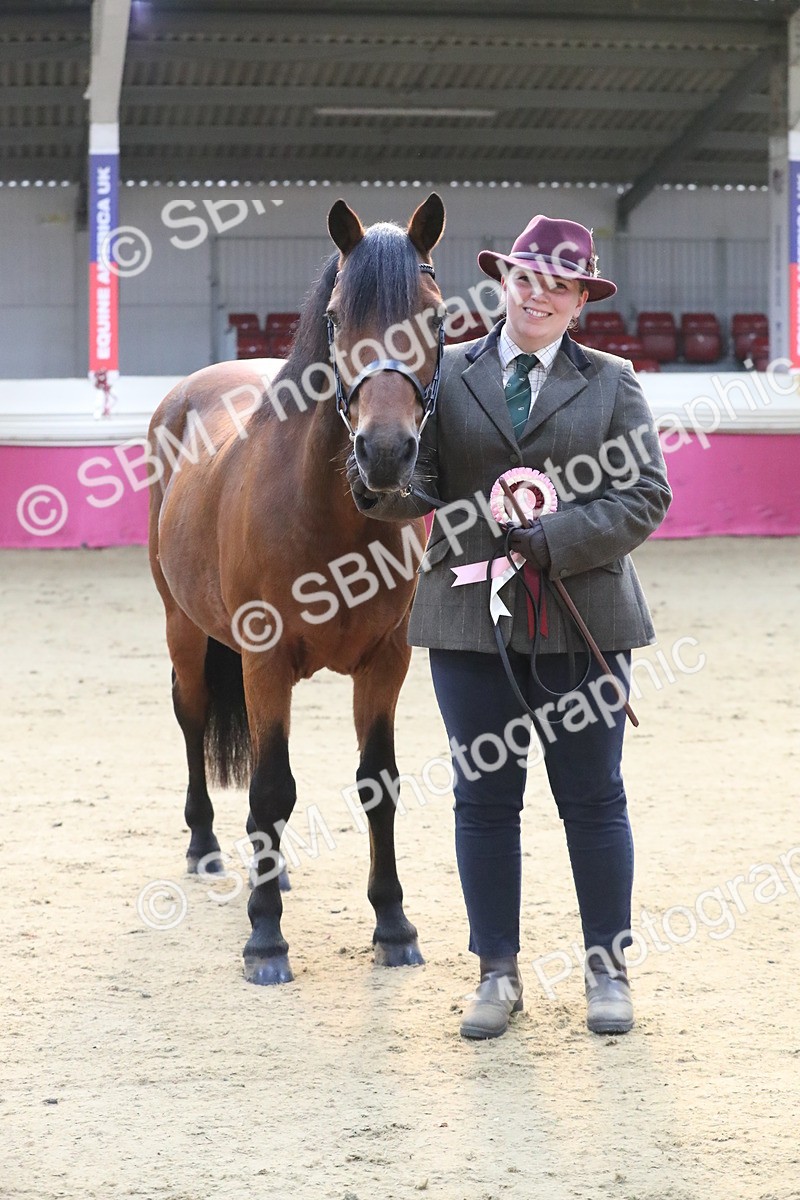 SBM_00330 - Class 1a - Area IH Diamond