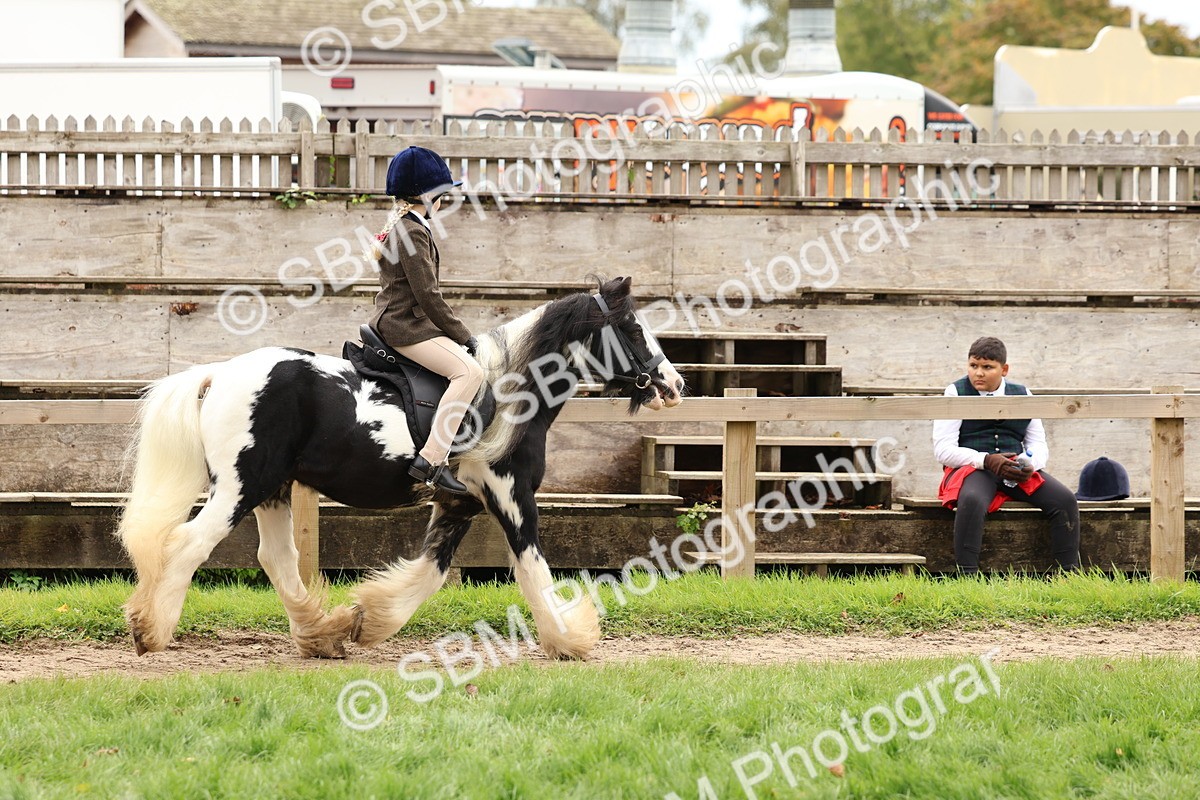 SBM_64412 - S58 - Coloured Pony Ridden