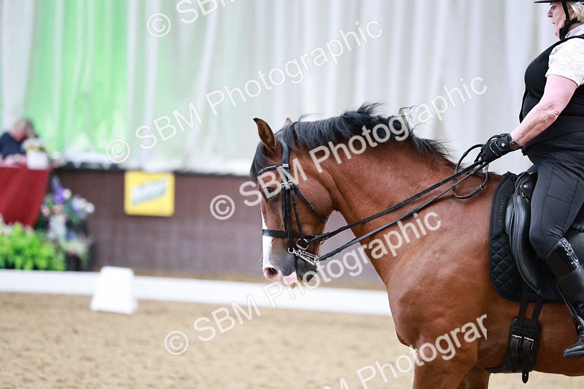 SBM_014350 - Class 7 - Ele FSM Bronze  13.24.14.04