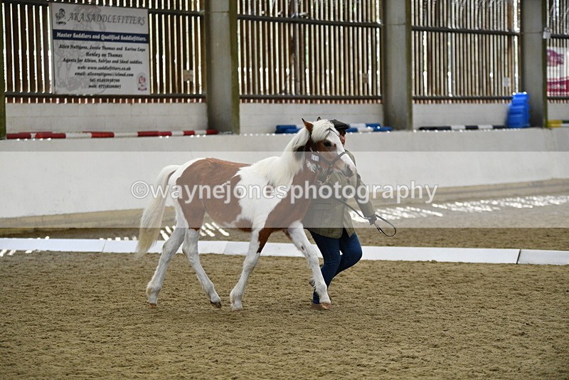 WJ5_4945 - Class 7 In hand coloured / odd coloured