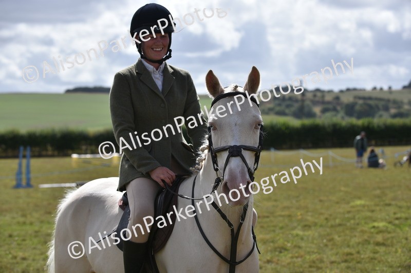 20250831-4093 - Class 13 - Working Hunter Horse or Pony