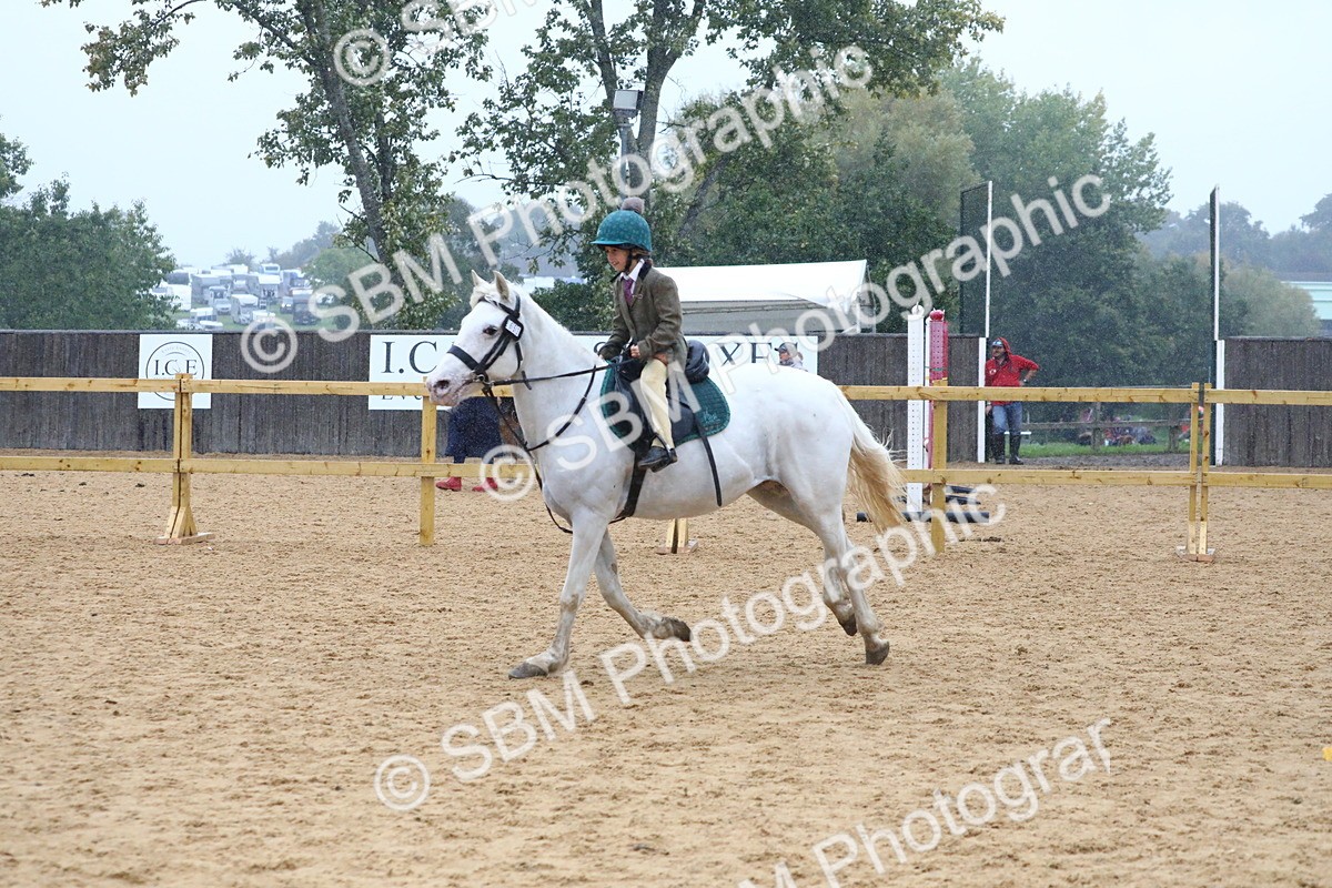 SBM_71464 - J4 - Mini Tour Junior Pony 45cm Championship