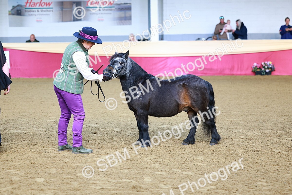 SBM_21670 - Class 901 - Supreme Final - IH  Diamond