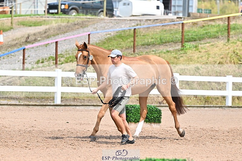 240718A-105319-01850 - Trot Up 1pm to 2pm