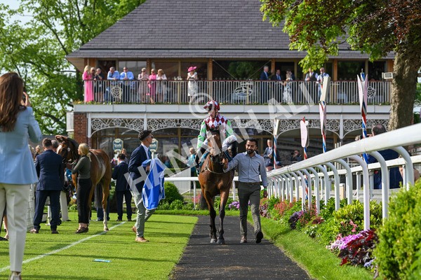 170524-Race 6-Riot-8595 - Race 6 4.45pm Yorkshire Equine Practice Handicap
