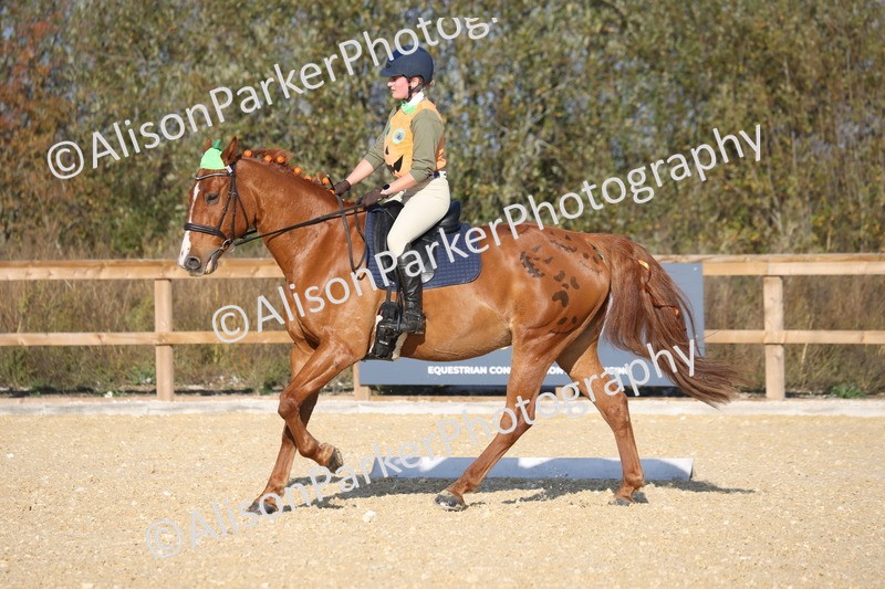 L20261031-0064 - Class 5 - Novice 2