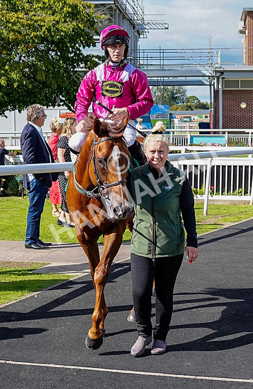 050926-Race 3-Dontlookanyfurther-8 - Race 3 2.40pm British Stallion Studs EBF Restricted Novice Stakes