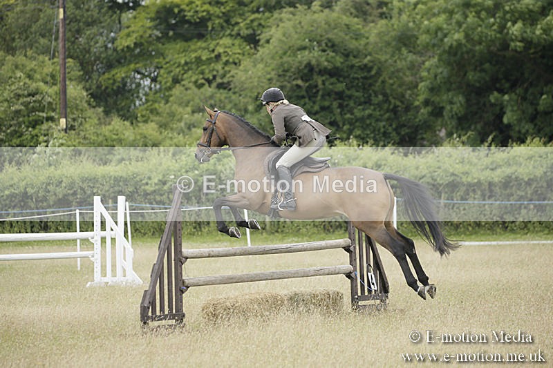 B230619-0877 - Bourne Valley Riding Club Summer Show 23/06/19
