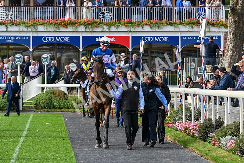 210826-Race 6-Benjamin Hornigold-7246 - Race 6 16.45pm British Stallion Studs EBF Convivial Maiden Stakes