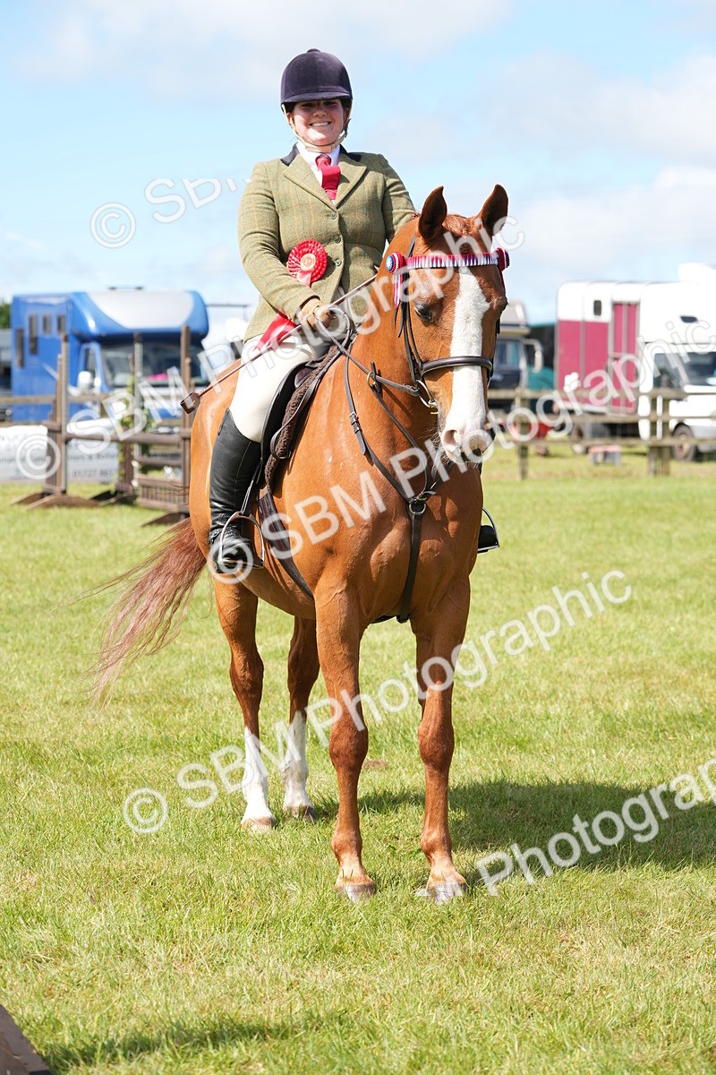SBM_12972 - Class 99 - RIHS SEIB Working Show Horse