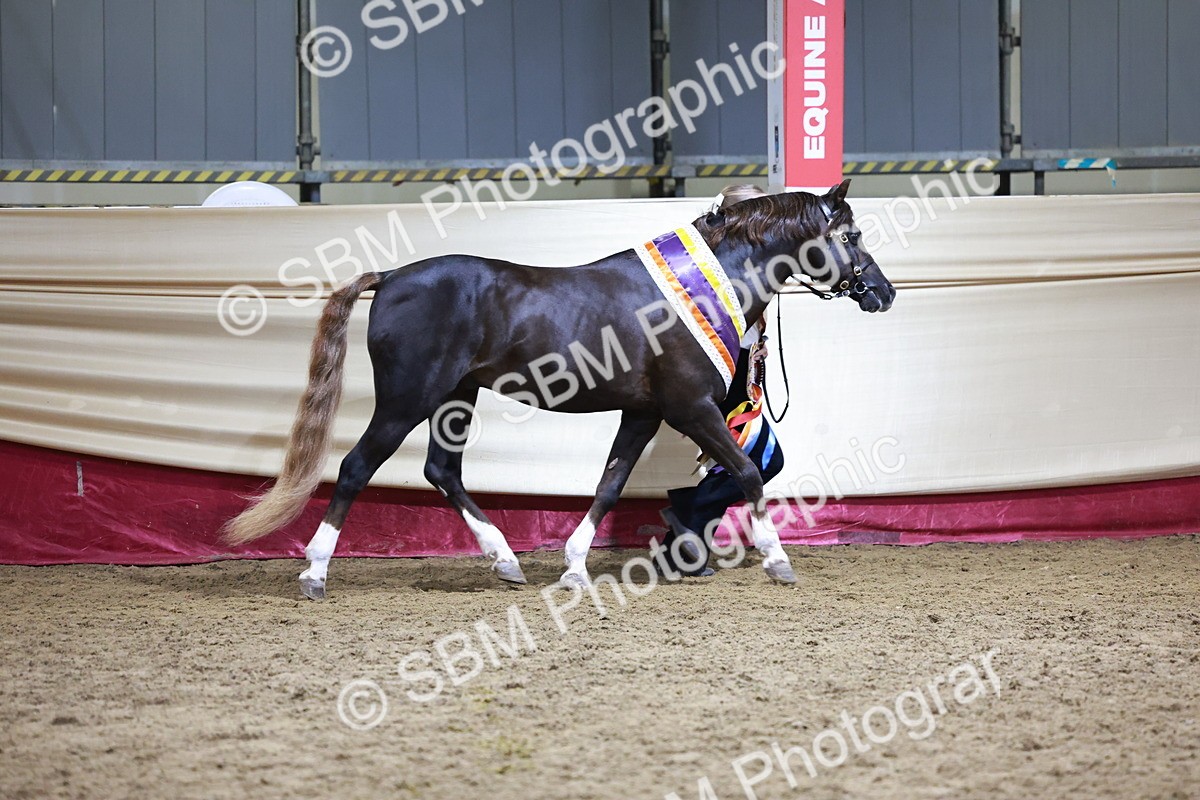 SBM_21092 - Class P - M&M Champs