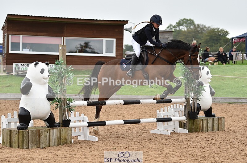 230902A-114112-00804 - Cls 2B Pony Small 80cm