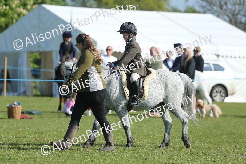 20250427-0903 - Class 1 - Mini Jumping Lead Rein or Assisted