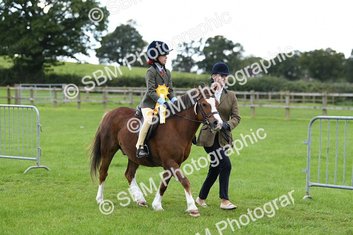 SBM_42711 - S20 - Lead Rein Mountain & Moorland Pony