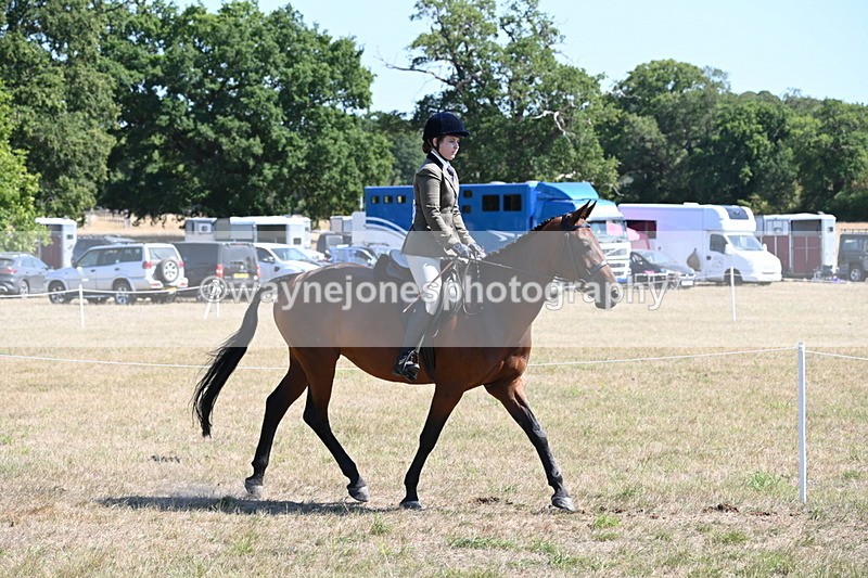 WJ6_8358 - Class 37a Best Loan Pony Ridden