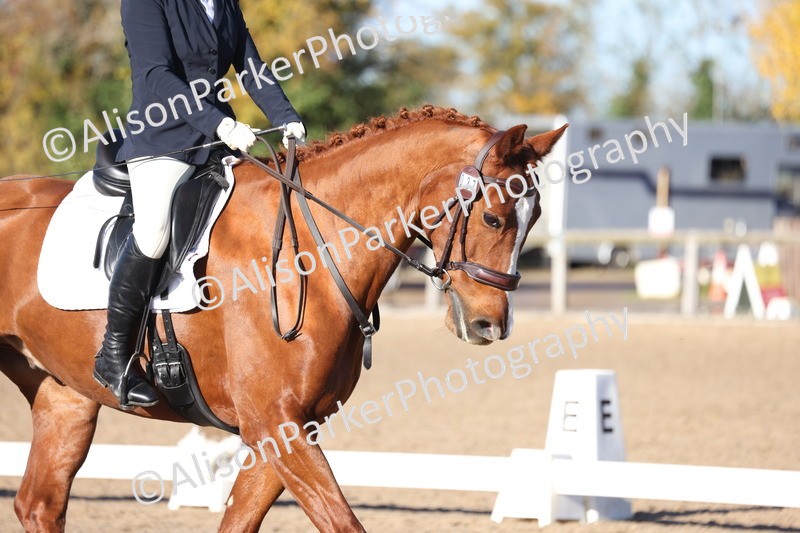 20251102-0520 - Class 3 - Novice 5