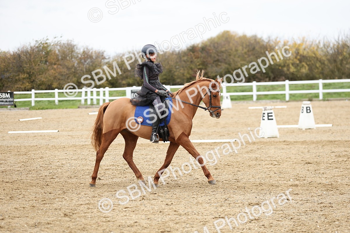 SBM_003887 - Class 9-12 - Novice 2 Elementary 3