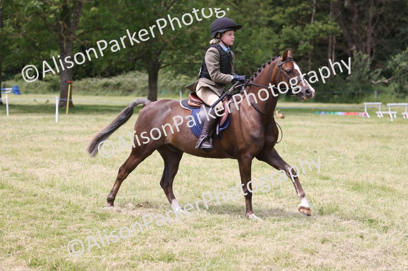 20260614-2850 - Class 22 - Open Working Hunter