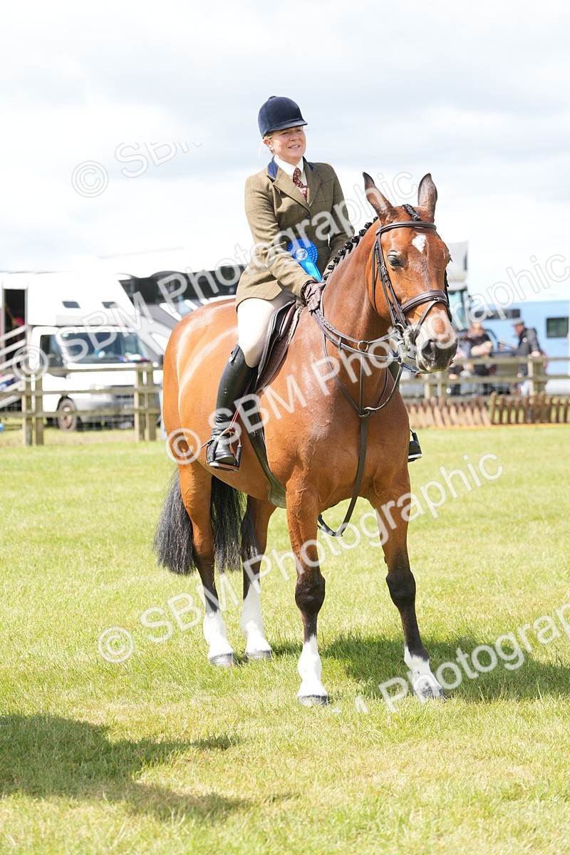 SBM_15058 - Class 100-102 - RIHS Working Hunter