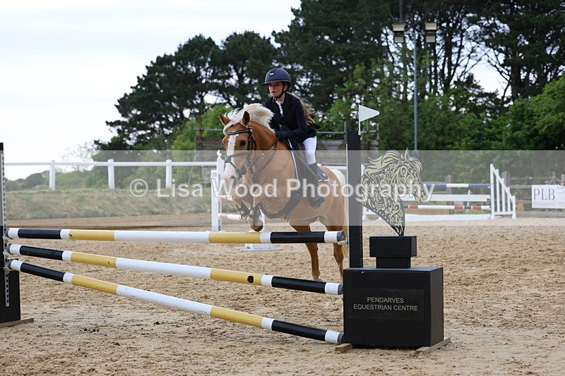3E7A8524 - Class 14: Pony Newcomers/1m open