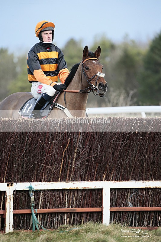PtP 020122 55 - Larkhill Racing Club Point-to-Point 02/01/2022