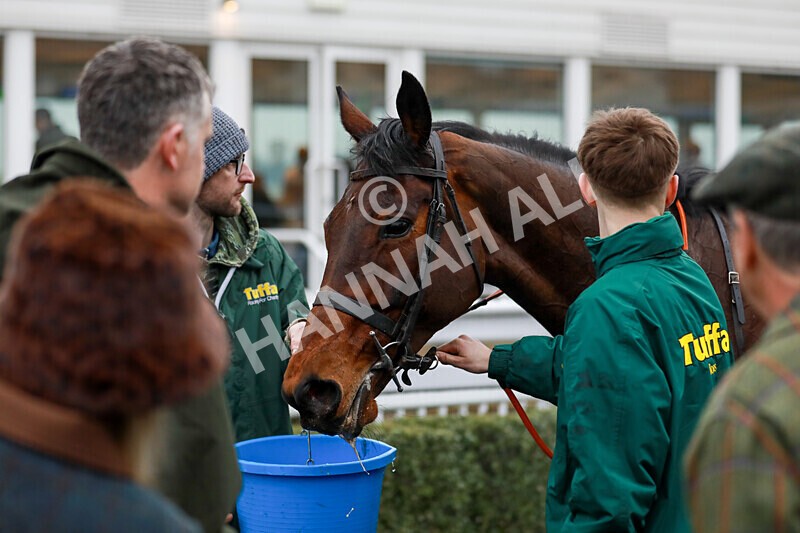 310125-Race 5-The Paddy Pie-4609 - Race 5